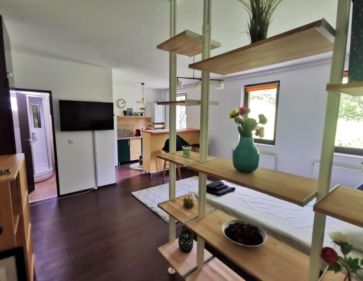 Studio Azuga Ngoại thất bức ảnh